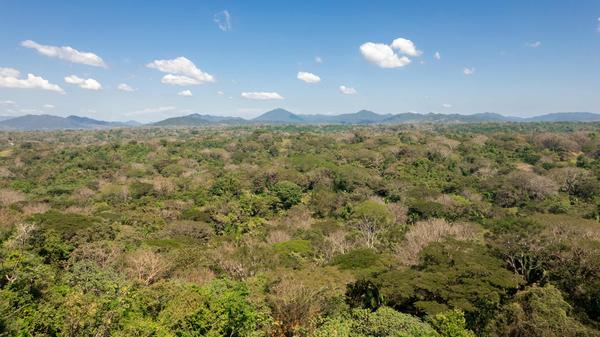 Chic 3BR Private Terrace & Nature Views