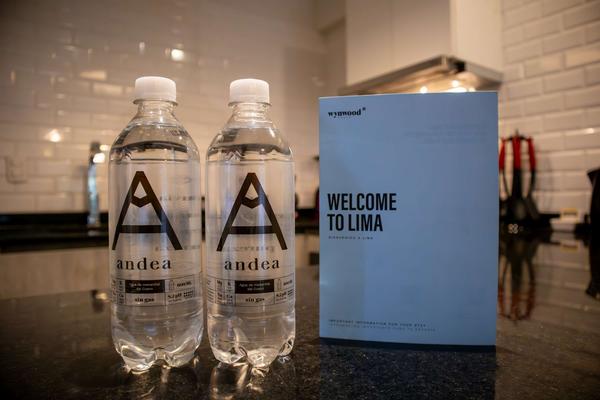 Perfect 1BR w/ terrace in Barranco