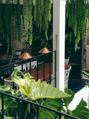 Suite in Casa Wynwood Miraflores