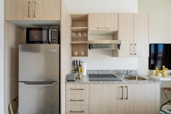 Sophisticated Loft in Santa Ana, Casco Viejo