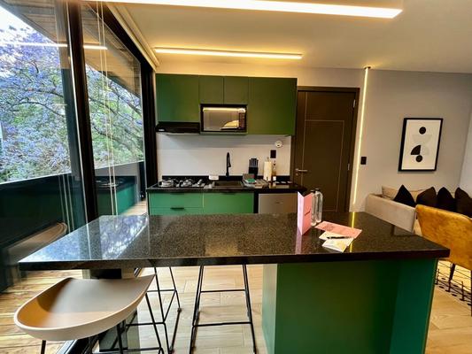 Cozy 1BR with Amazing Terrace in Polanco
