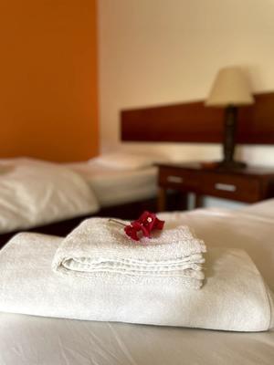 Warm 1BR w/ Tropical Garden in Máncora