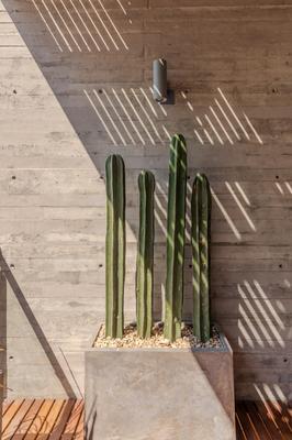 Stylish 2BR Apartment with Ocean View in La Paz