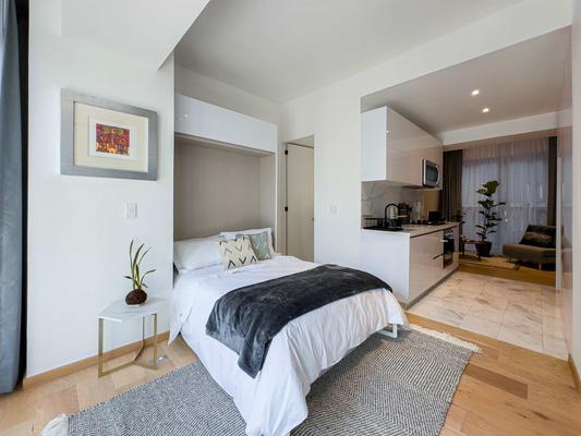 Deluxe Loft w/ Beautiful View in Roma Norte