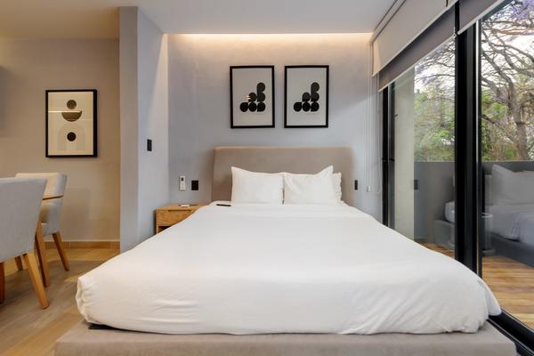 Perfect Loft with Terrace in Polanco