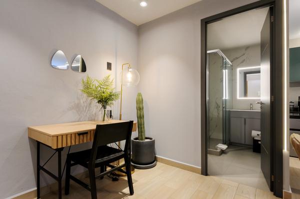 Perfect Loft with Terrace in Polanco