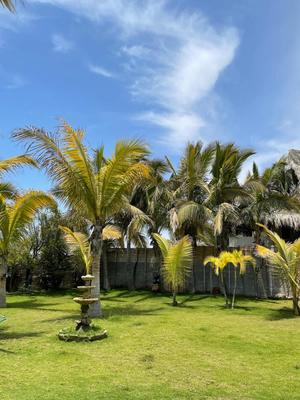 Warm 1BR w/ Tropical Garden in Máncora