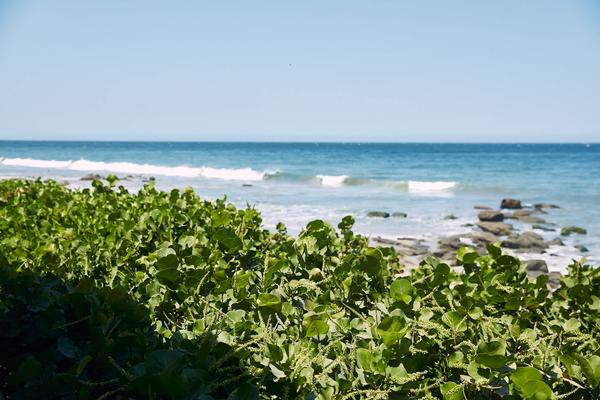 Trendy 1BR  w/ Pool in Máncora