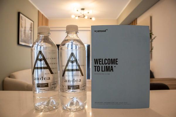 Flawless 1BR in Miraflores