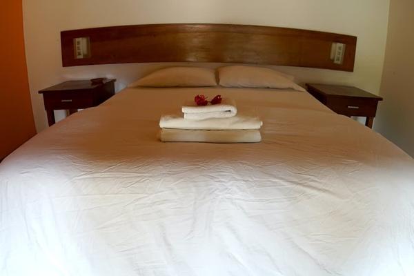 Charming 1BR w/ Palm View near Beach Máncora