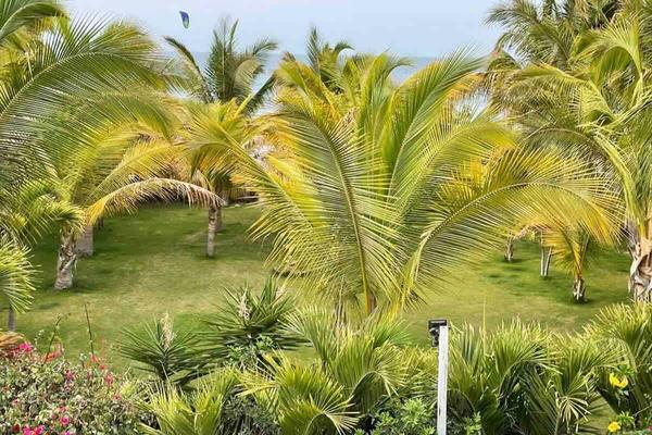 Relaxing 1BR w/ Palm View near Beach Máncora