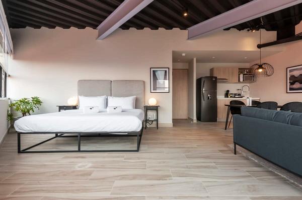 Sleek Loft near Polanco
