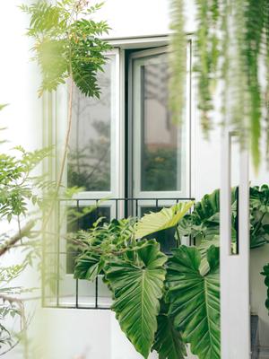 Atonishing 5BR in Miraflores